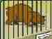 Picture of Animal in Cage
