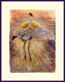 Gallery of Birds