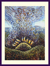 Bush Fire