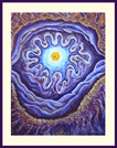 Eye of the Storm 1