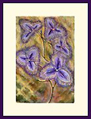 Fringe Lily