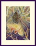 Gallery of Animals (Mammals and Marsupials)