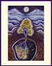 The Moon and the Wattle Tree 1
