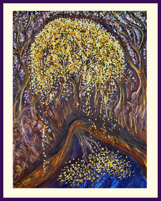 Wattle Tree Weeping at Skull Creek 2