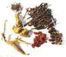 Alternative Medicine Acupuncture Herbal Treatment Cure Autism Tole Herbs Medical Treatment Cure Centre
