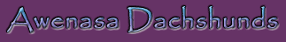 Awenasa Dachshunds Sml txt