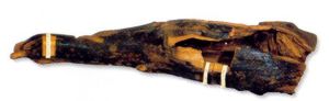 Incense