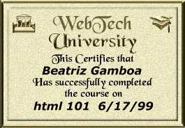 HTML Diploma