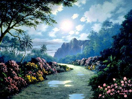 /user/paradise.jpg