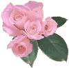 /user/pinkroses.gif