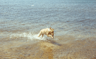 Whoopie!  I'm in the water!