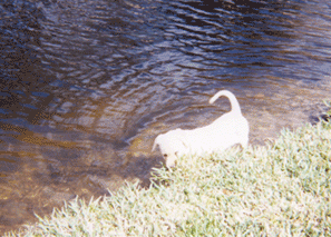 I love to get my feet wet!