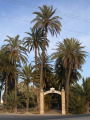 Hort Traval�n