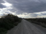 Camino