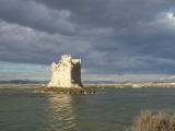 Torre