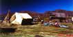 Uros Insel