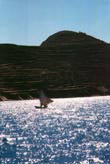 Lake Titicaca