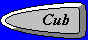 Cub Scout Section