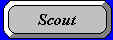 Scout Section