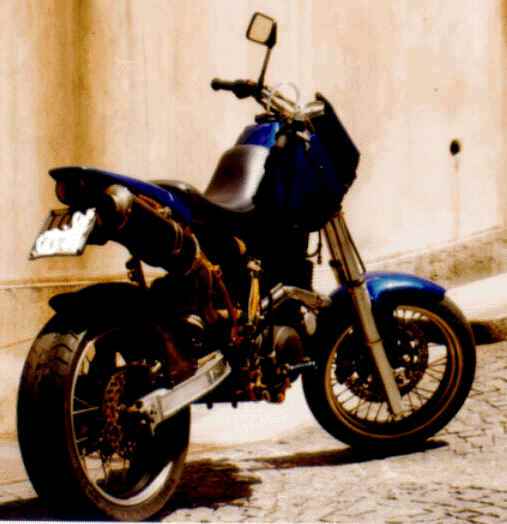 TT-1.gif (131158 bytes)