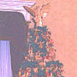treetop