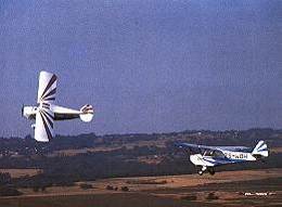 2 Koalas in a near miss photo shoot