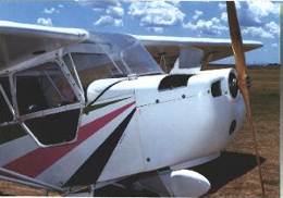 Koala  homemade cowling