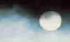 Perdiguero Home Page