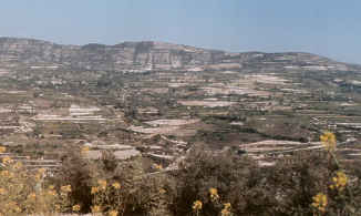 Hillside in chalky limestone, southwest Cyprus