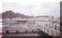 1999harbour.jpg (34021 bytes)