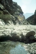 Groundwater seeping from wadi gravel