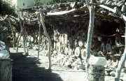 Beehives in Wadi Sahtan