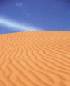 Dune in the Wahibah Sands