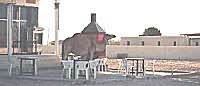 Camel at Iftar, Al Hij, Oman