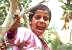 Boy in tree at Nakhl