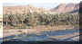 semailfanjah.jpg (59381 bytes)