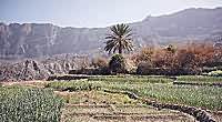 Agricultural terraces, Wakan village