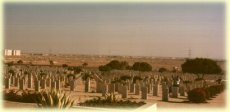 The Allied war cemetery at El Alamein