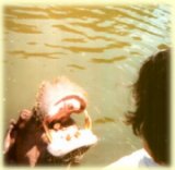 Sam the hippo
