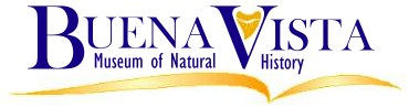 Buena Vista Museum Of Natural History - sharktoothhill.com