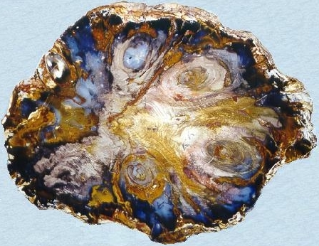 wood2.jpg (170764 bytes)