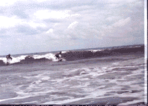 Ara chasing Ahen on the Sunda Sea between Sumatra and Java
