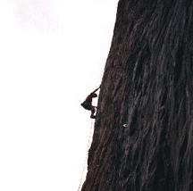 I think I am Going Bald in Cotton Wood Canyon, Utah