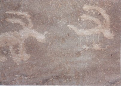 Goat Petroglyph
