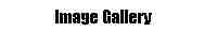 Primary Image Gallery