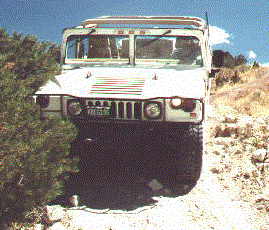 Hummer
