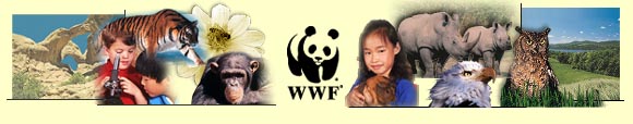World Wild Life (Fundacin)
