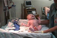 5 min old.jpg (94579 bytes)