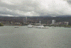 wpe43916.gif (136992 bytes)