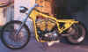 sporty23.jpg (159542 bytes)